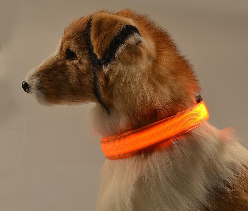 Dogs Nylon LED Collar